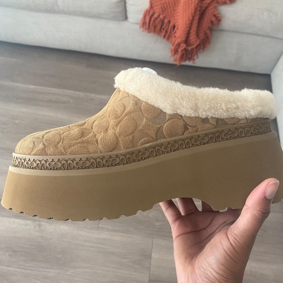 NEW* Coach - Cecilia Clog in Signature Suede - Picture 4 of 4